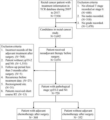 Adjuvant chemotherapy and survival outcomes in rectal cancer patients with good response (ypT0-2N0) after neoadjuvant chemoradiotherapy and surgery: A retrospective nationwide analysis